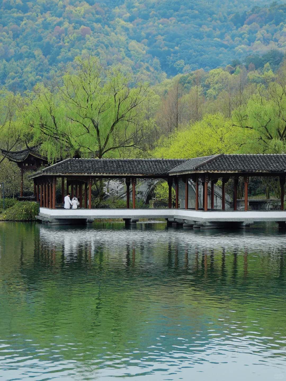 Discover Hangzhou's Best-Kept Secret: A Tranquil Day Trip